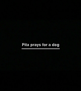 lovely-dakota-man-fire-dvd-pita-prays-dog-01.jpg