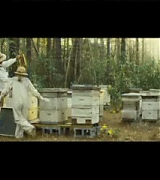 lovely-dakota-secret-life-bees-character-montage-24.jpg