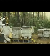 lovely-dakota-secret-life-bees-character-montage-25.jpg