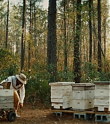 lovely-dakota-secret-life-bees-screen-capture-0528.jpg