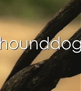 lovely-dakota-hounddog-screen-capture-0002.jpg