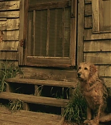 lovely-dakota-hounddog-screen-capture-0161.jpg